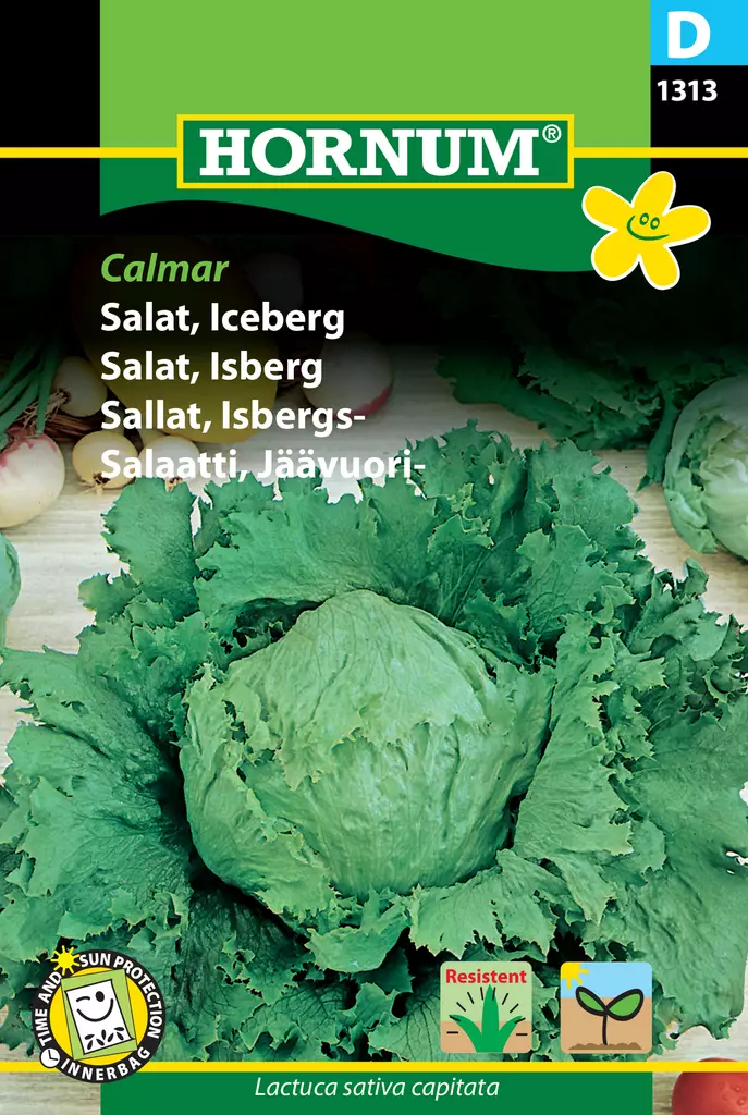 Salaatti, Jäävuori- Calmar - Vihannesten ja yrttien siemenet - 5708787013132 - 0