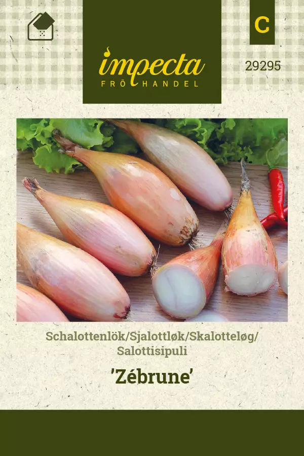 Salottisipuli Zébrune - Vihannesten ja yrttien siemenet - 7332756292952 - 0