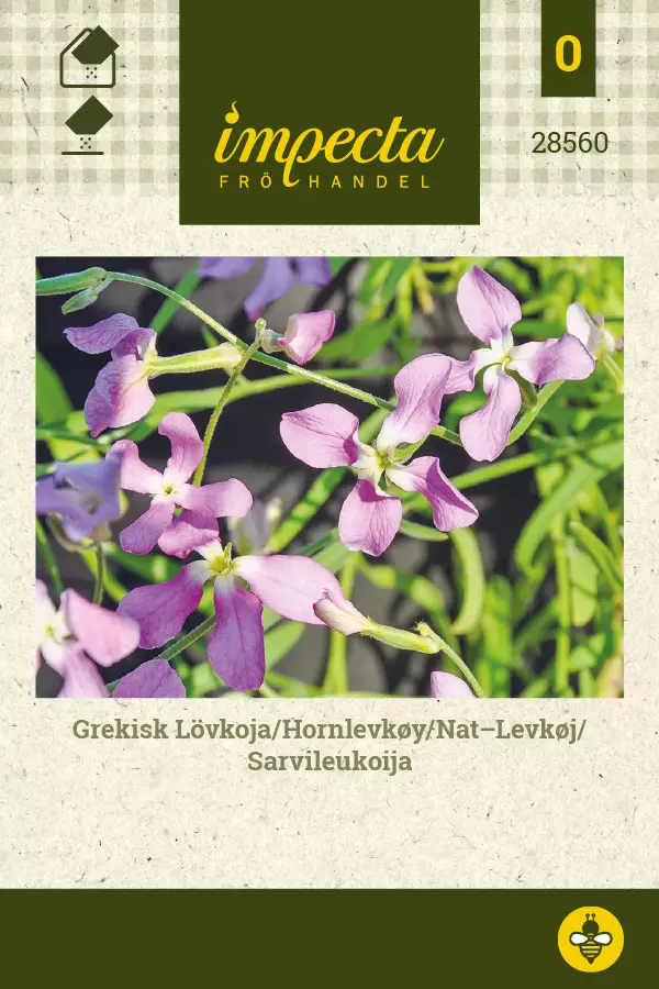 Sarvileukoija - Kukkien ja koristeheinien siemenet - 7332756285602 - 0