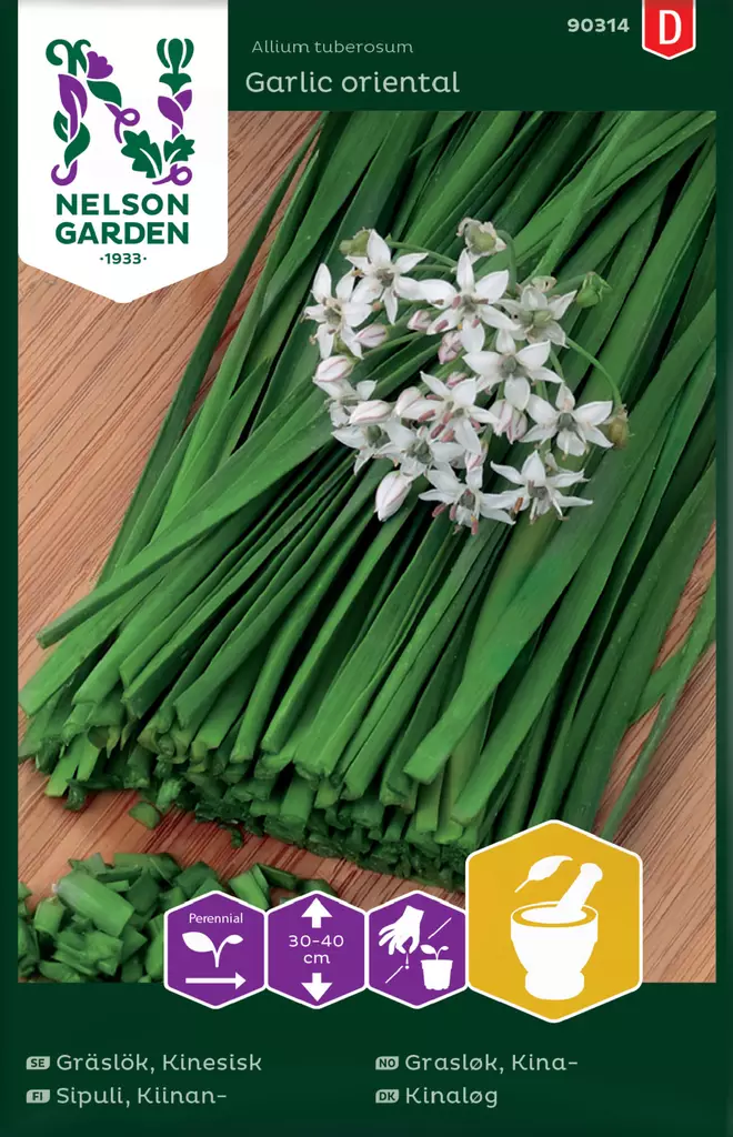 Sipuli, Kiinan- - Vihannesten ja yrttien siemenet - 7312600903142 - 0