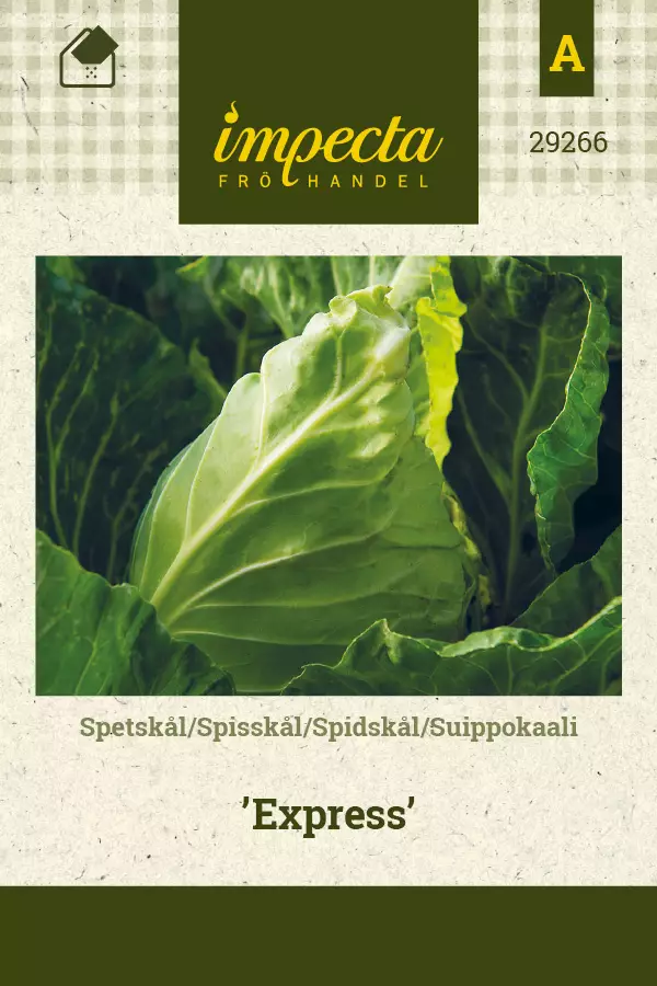 Suippokaali Express - Vihannesten ja yrttien siemenet - 7332756292662 - 0