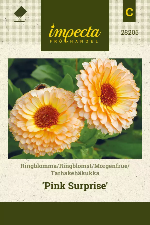 Tarhakehäkukka Pink Surprise - Kukkien ja koristeheinien siemenet - 7332756282052 - 0