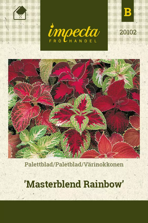Värinokkonen Masterblend Rainbow - Kukkien ja koristeheinien siemenet - 7332756201022 - 0