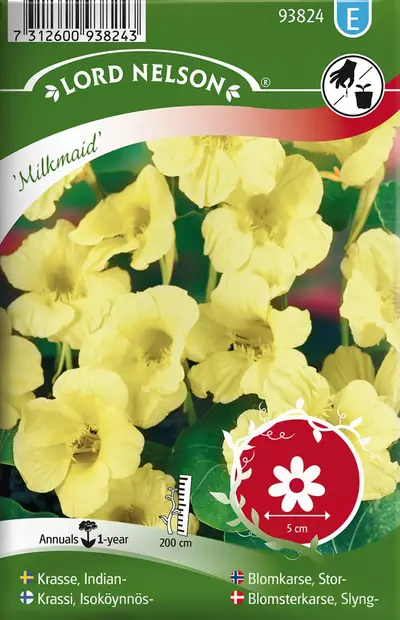 Krassi, Isoköynnös-, Milkmaid - Kukkien ja koristeheinien siemenet - 7312600938243 - 1