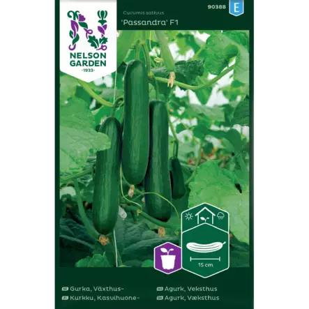 Kurkku, Kasvihuone-, Passandra F1 - Vihannesten ja yrttien siemenet - 7312600903883 - 1