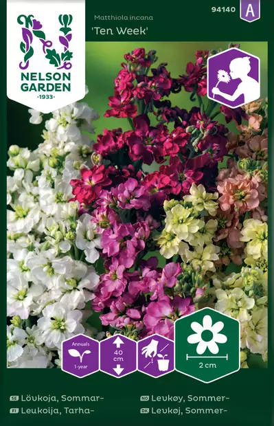 Leukoija, Tarha-, Ten Week - Kukkien ja koristeheinien siemenet - 7312600941403 - 0