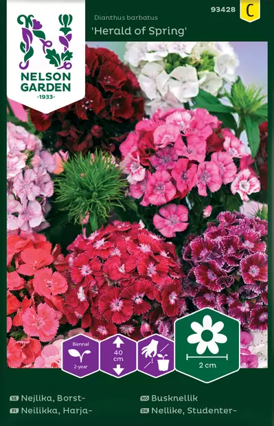 Neilikka, Harja-, Herald of Spring, seos - Kukkien ja koristeheinien siemenet - 7312600934283 - 0