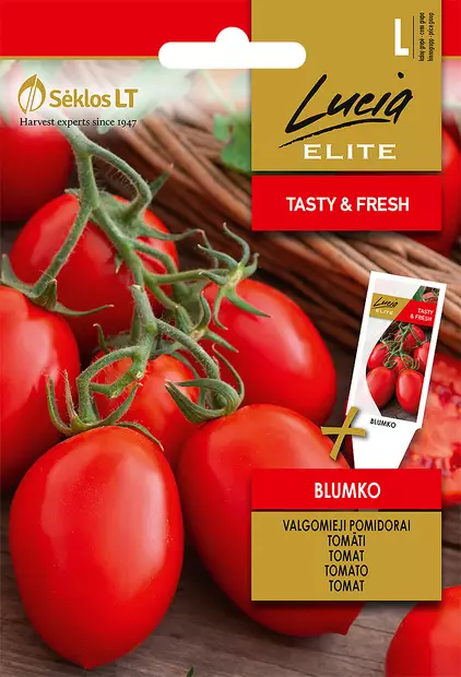 TOMAATTI ELITE BLUMKO - Vihannesten ja yrttien siemenet - 4770168913813 - 0