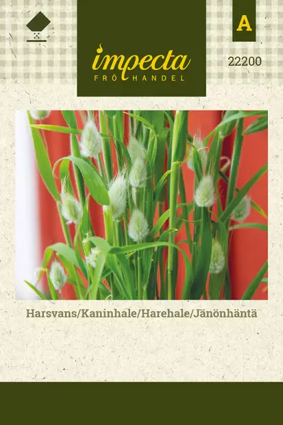 Jänönhäntä - Kukkien ja koristeheinien siemenet - 7332756222003 - 0