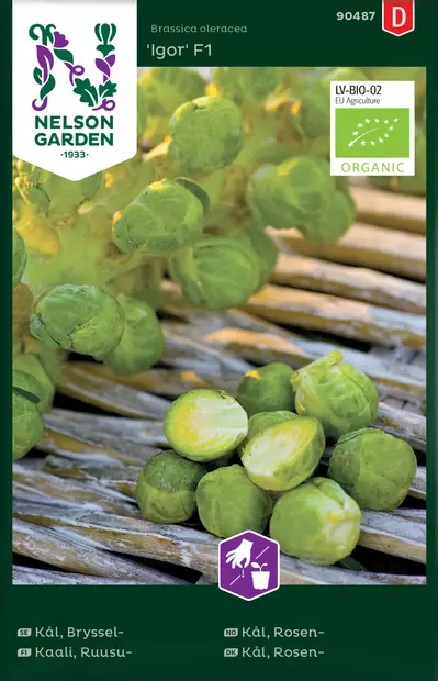 Kaali, Ruusu-, Igor F1, Organic - Vihannesten ja yrttien siemenet - 7312600904873 - 0