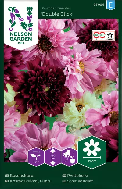 Kosmoskukka, Puna-, Double Click - Kukkien ja koristeheinien siemenet - 7312600950283 - 0