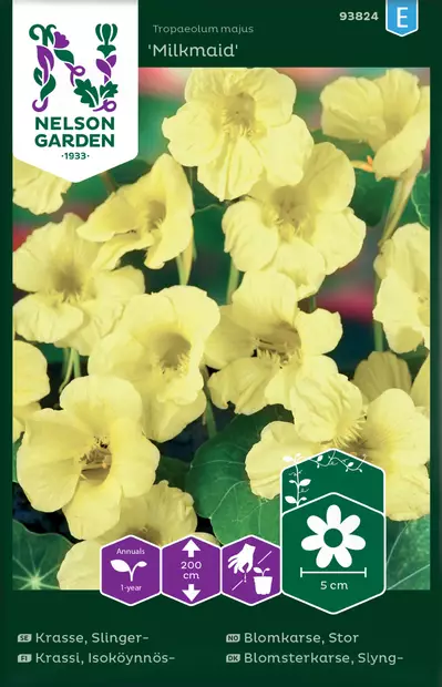 Krassi, Isoköynnös-, Milkmaid - Kukkien ja koristeheinien siemenet - 7312600938243 - 0