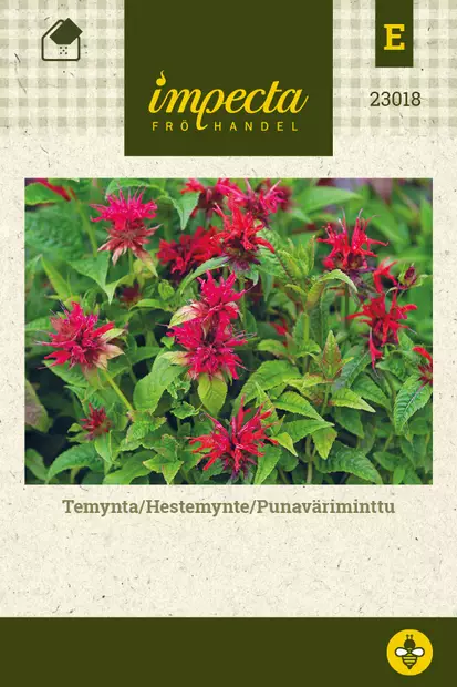 Punaväriminttu - Kukkien ja koristeheinien siemenet - 7332756230183 - 1