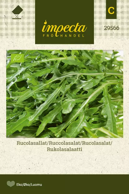 Rukolasalaatti - Vihannesten ja yrttien siemenet - 7332756295663 - 0