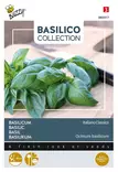 Buzzy Basilico basilika Italiano Classic - Kukkien ja koristeheinien siemenet - 8711117809173 - 1