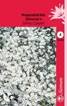 Hopeahärkki Silver Carpet - Kukkien ja koristeheinien siemenet - 6415151809503 - 1