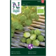Kaali, Ruusu-, Igor F1, Organic - Vihannesten ja yrttien siemenet - 7312600904873 - 1
