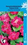 Keisarinelämänlanka Sunrise Serenade - Kukkien ja koristeheinien siemenet - 6415151977103 - 1