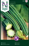 Kurpitsa, Kesä-, Latino F1 - Vihannesten ja yrttien siemenet - 7312600914773 - 2