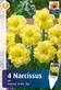 Narsissi Sunnyside Up 4 kpl/pkt -  - 8711148247333 - 1