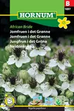 Neidonkukka African Bride - Kukkien ja koristeheinien siemenet - 5708787016973 - 0