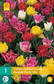 Tulppaani Double Early mix 7 kpl/pkt - Kukkasipulit - 8712438502903 - 4