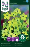 Tupakka, Koriste-, Lime Green - Kukkien ja koristeheinien siemenet - 7312600933323 - 0