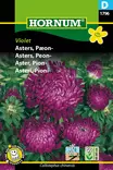 Asteri, Pioni- Violet - Kukkien ja koristeheinien siemenet - 5708787017963 - 1