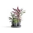 Ecopots Ruukku Dubai setti 56,6 cm - Ecopots ruukut ja lautaset - 5413724329633 - 2