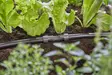 Gardena jatkoliitin 2931 - Puutarhan ja kukkien kastelu - 4078500293143 - 1