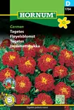 Isosamettikukka Carmen - Kukkien ja koristeheinien siemenet - 5708787017543 - 0