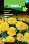 Isosamettikukka Petite Gelb - Kukkien ja koristeheinien siemenet - 5708787017833 - 0