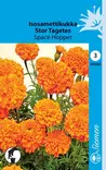 Isosamettikukka Space Hopper annos - Kukkien ja koristeheinien siemenet - 6415152302003 - 1