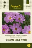 Kosmoskukka Colletta Pink-White - Kukkien ja koristeheinien siemenet - 7332756292433 - 1