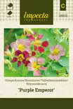 Köynnöskrassi Purple Emperor - Kukkien ja koristeheinien siemenet - 7332756288023 - 0