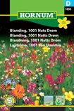 Lajitelma, 1001 Yön Unelmia - Kukkien ja koristeheinien siemenet - 5708787016553 - 0