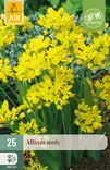 Laukka Allium moly 25 kpl/pkt - Laukat - 8712438517303 - 1