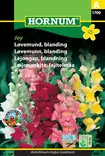 Leijonankita, lajitelmaa Joy - Kukkien ja koristeheinien siemenet - 5708787017093 - 0