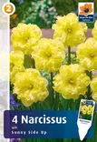 Narsissi Sunny Side Up 4 kpl/pkt - Narsissit - 8711148247333 - 1