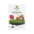 Oleskelunurmikko 1 kg - Nurmikon siemenet - 6433000119993 - 1