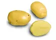 Peruna Siikli 1 kg 35-50 mm - Siemenet ja sipulit - 6417486003663 - 1