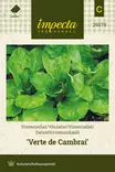 Salaattivuonankaali Verte de Cambrai - Vihannesten ja yrttien siemenet - 7332756295793 - 0