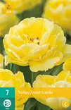 Tulppaani Columbus 7 kpl/pkt - Tulppaanit - 8712438502583 - 2