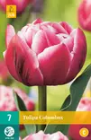 Tulppaani Columbus 7 kpl/pkt - Tulppaanit - 8712438502583 - 1
