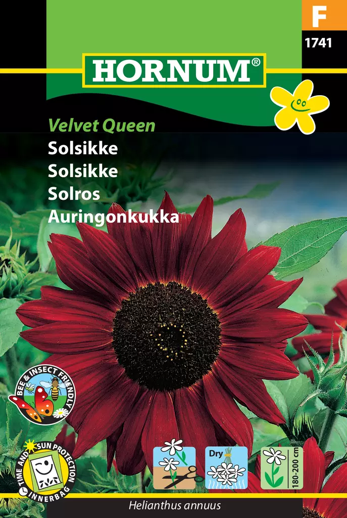 Auringonkukka Velvet Queen - Kukkien ja koristeheinien siemenet - 5708787017413 - 0