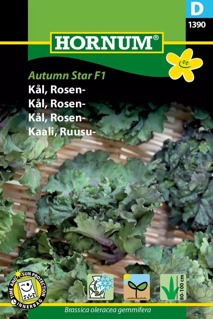 Kaali, Ruusu- Autumn Star F1 - Vihannesten ja yrttien siemenet - 5708787013903 - 0