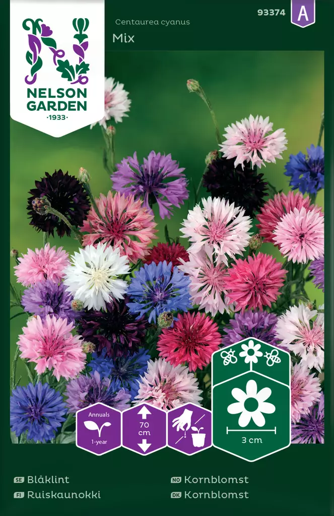 Kaunokki, Ruis-, väriseos - Kukkien ja koristeheinien siemenet - 7312600933743 - 0