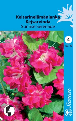 Keisarinelämänlanka Sunrise Serenade - Kukkien ja koristeheinien siemenet - 6415151977103 - 1
