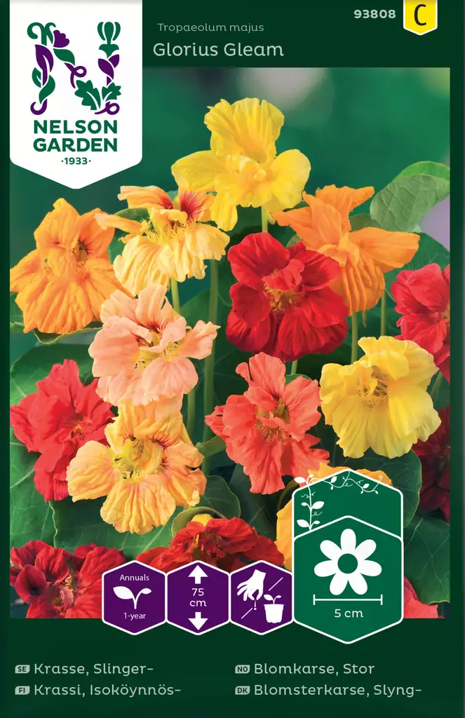 Krassi, Isoköynnös-, Glorious Gleam - Kukkien ja koristeheinien siemenet - 7312600938083 - 0