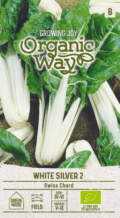 MANGOLDI OG WHITE SILVER 2 - Vihannesten ja yrttien siemenet - 4770168151093 - 0